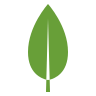 MongoDB
